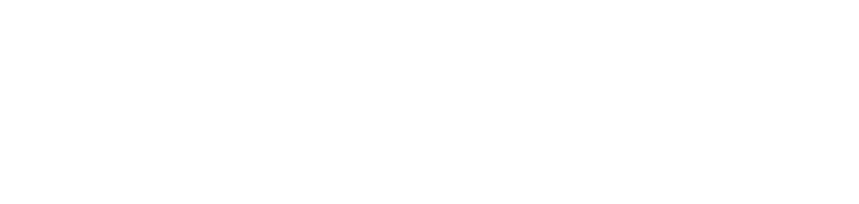 Noris Medical logo_white