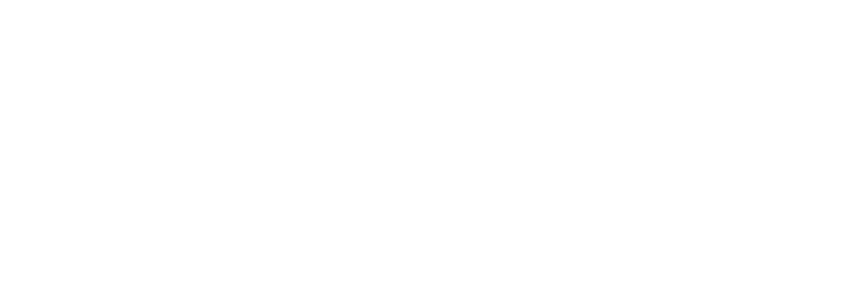 Osstem logo_white