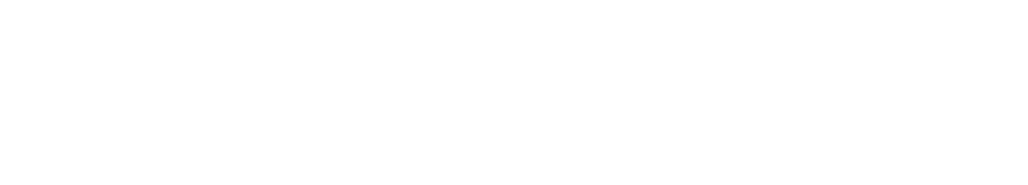 Zirkonzahn logo_white